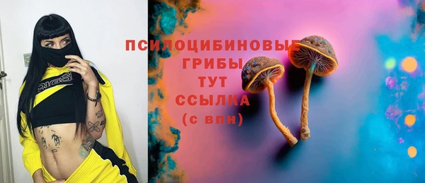 ГАЛЛЮЦИНОГЕННЫЕ ГРИБЫ Богородицк