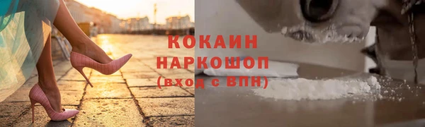 соль ск Бородино