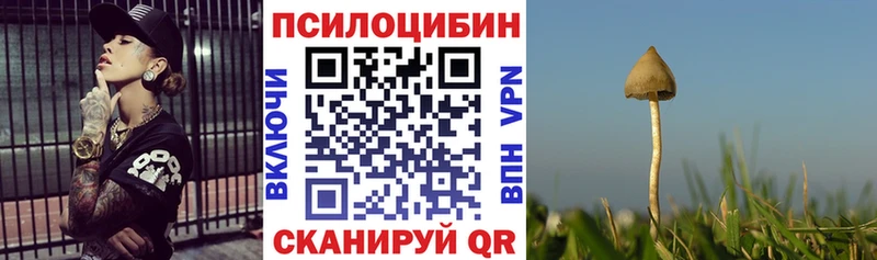 купить закладку  Вяземский  мориарти наркотические препараты  Галлюциногенные грибы прущие грибы 